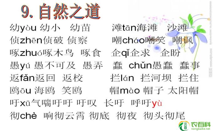 abAC式的四字词语有什么