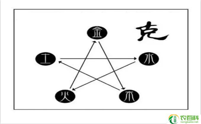三七和什么相克(相克关系）