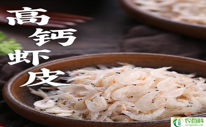淡干虾皮是什么意思
