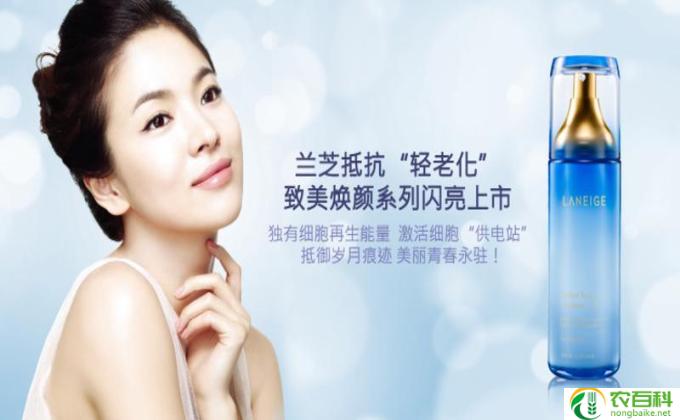 吃什么抗皱纹(抗皱护肤佳品)