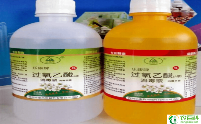 养花的营养液怎么用(用营养液养花的正确方法）