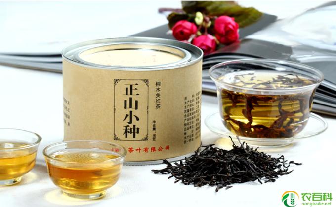 什么是正山小种红茶