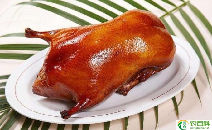 什么牌子鸭舌好吃(鸭舌大排行）