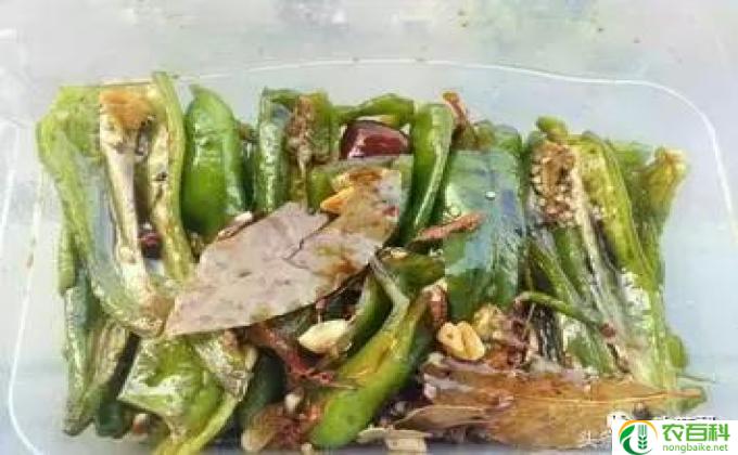 整个青辣椒怎么腌制