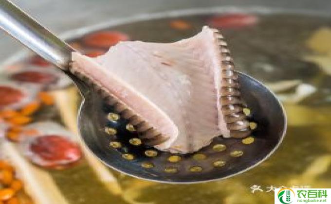 什么蛇最好吃(最美味的蛇肉）