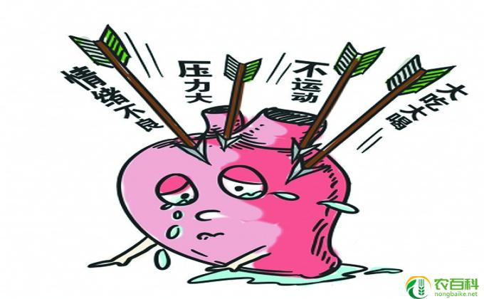 三种人不宜吃李子（健康隐患与食物相克的警示）
