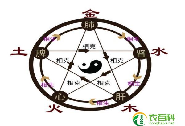 五行五谷五音五彩全部的读法（中华传统文化的宝藏）