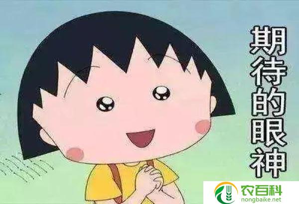 出伏了是不是就凉快了