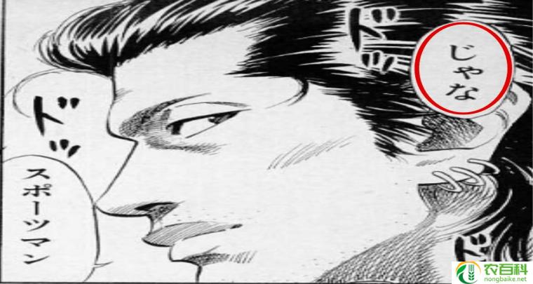 污男生说的红豆是什么意思（揭秘情色暗示还是纯粹的爱情表达？）
