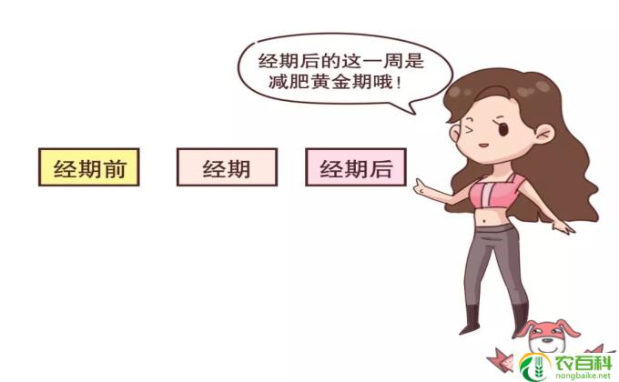例假多吃什么好