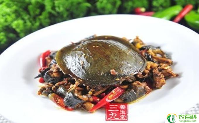 为什么吃甲鱼会过敏(甲鱼引发的过敏反应）