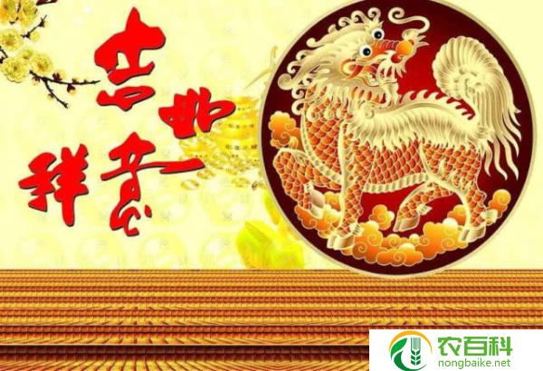 十二种招财花（吸财纳福，财运亨通的秘密花园）