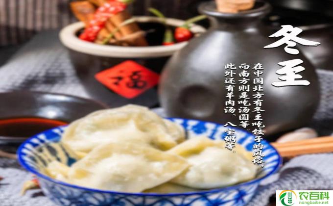 南方冬至吃什么