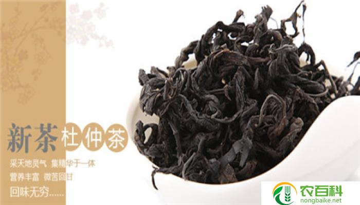 杜仲的作用与功效（促进血液循环，增强肾脏功能）