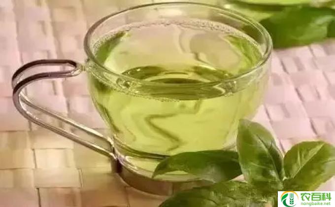 水培怎么不长呀(水培短暂怠慢）