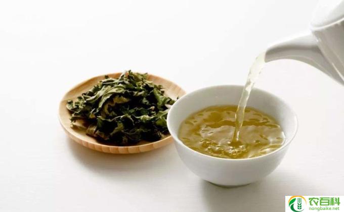 什么参泡水喝好(参泡水提神醒脑）