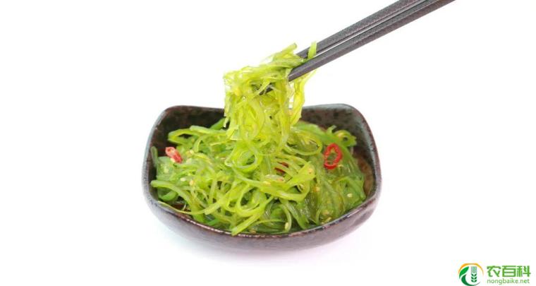 海藻是什么(生物界中的绿色宝藏)