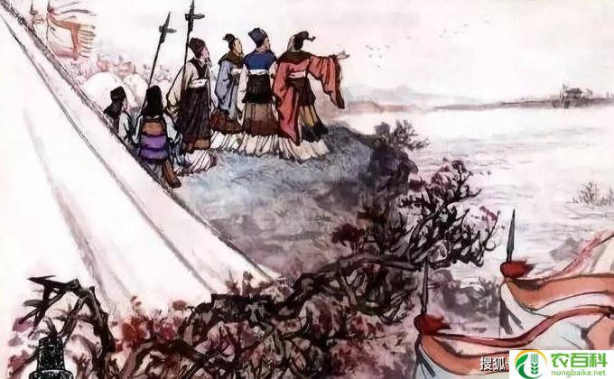 不悲不喜不卑不亢全文出自哪里