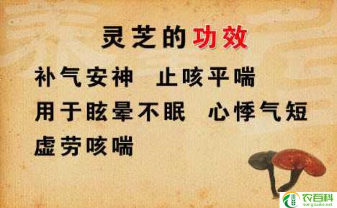 静心决内容及解释