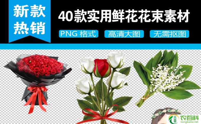 怎么包装花束凤梨(凤梨花束的包装技巧）