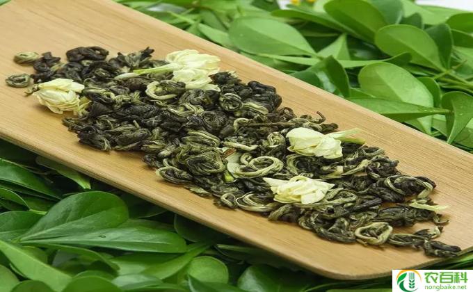 什么蔬菜对肺好(蔬菜守护你的肺部）