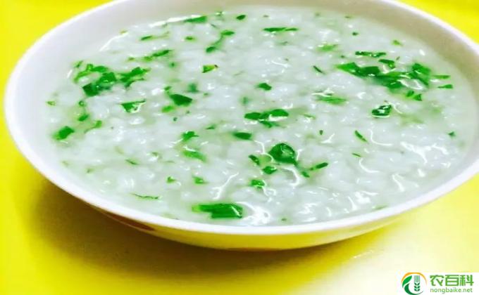 儿童吃什么青菜好(青菜：宝宝健康蔬菜拍档）
