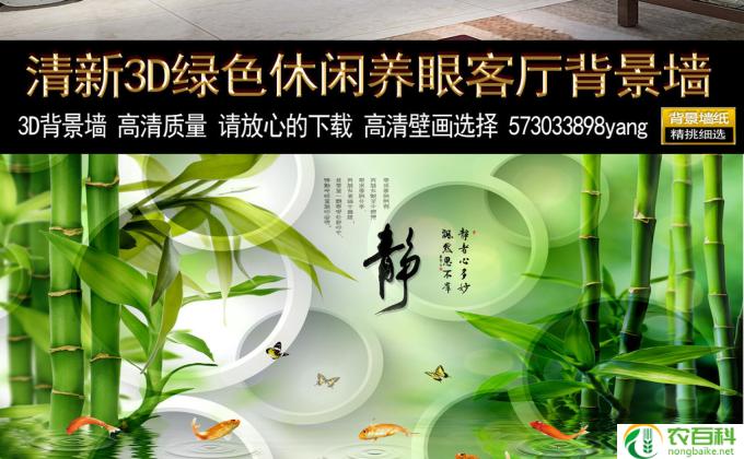 怎么养绿霸王(养护绿霸王，善待家中绿色明星）
