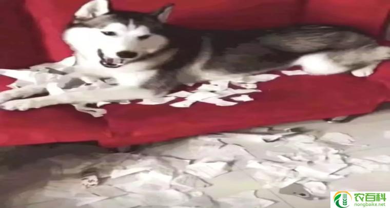 被开三门恶心死了（不堪忍受的经历）