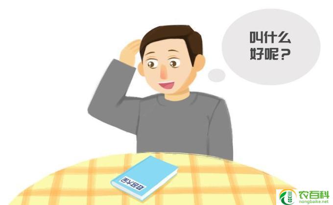 孙媳妇的爷爷怎么称呼