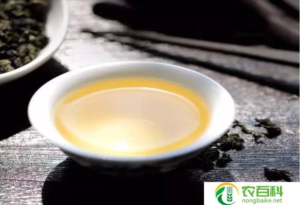 什么茶叶香气浓郁回甘（品味舌尖的美味享受）