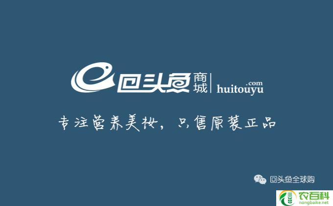 女人吃什么增强记忆力