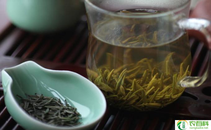 冬天女生适合喝什么茶