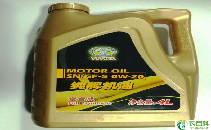 百合花怎么养植方法(百合花养护小贴士）