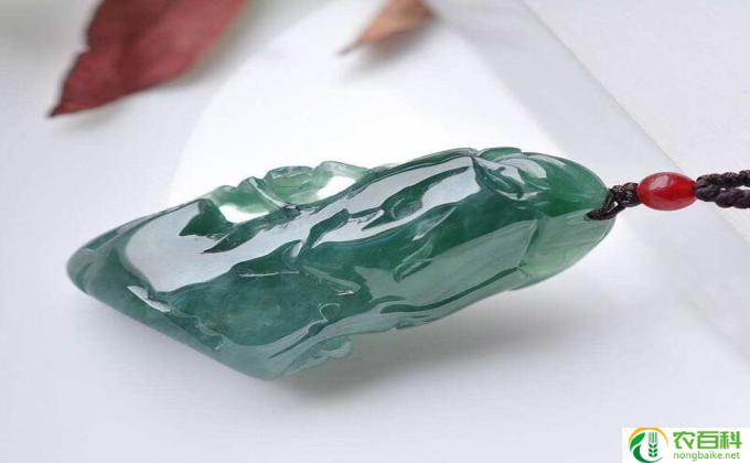 翡翠怎么浇水(如何正确浇水翡翠）
