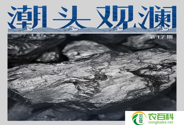 下页岩（能源的未来之源）