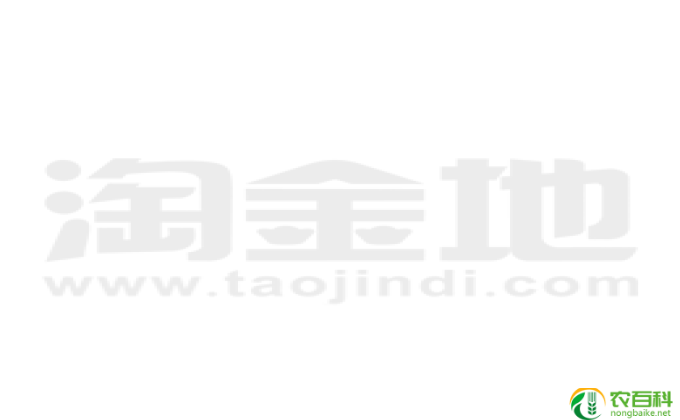 什么水果提高免疫力