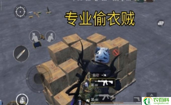 和平精英怎么才能穿上内衣