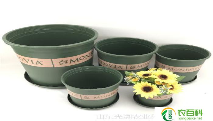 树脂花盆与加仑盆哪个好（材质、价格、使用寿命对比）