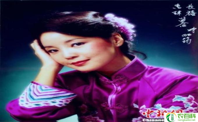 潘迎紫拍浴火凤凰时多大,凤凰悬河焚红火——潘迎紫的成长岁月