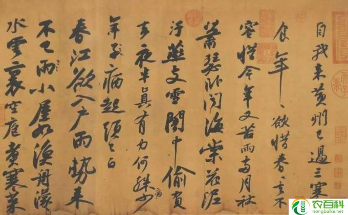 一树梨花压海棠苏轼的全诗