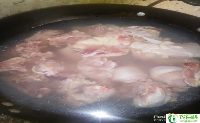 清炖鸡的家常做法阿飞