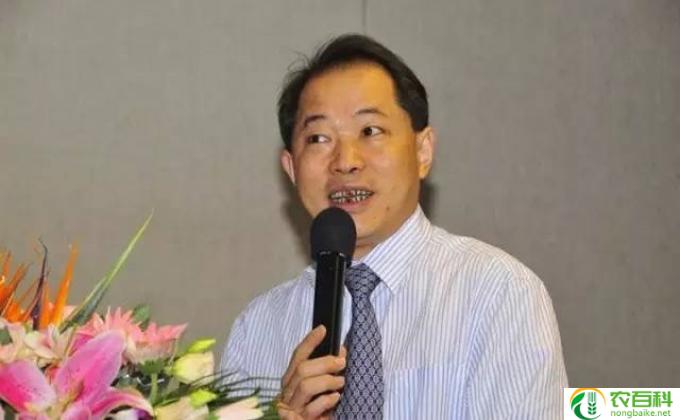 万科集团董事长是谁