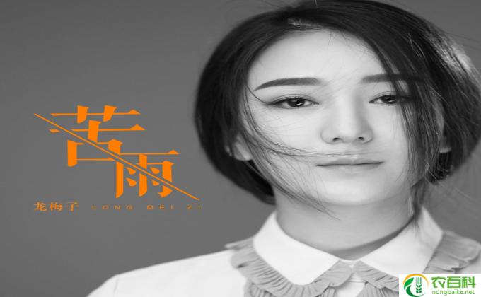 龙梅子下辈子做你的女人原唱