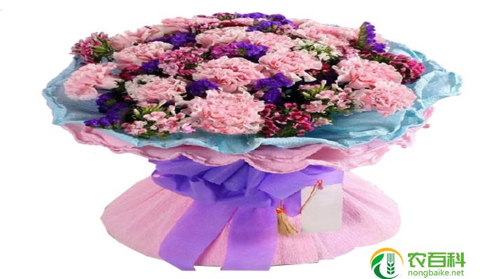 教师节应该送老师什么花合适（如何选择最适合的花束）