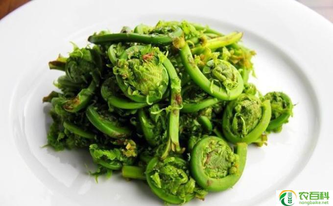 吃什么可以清理肠胃(清理肠胃的最佳食物）