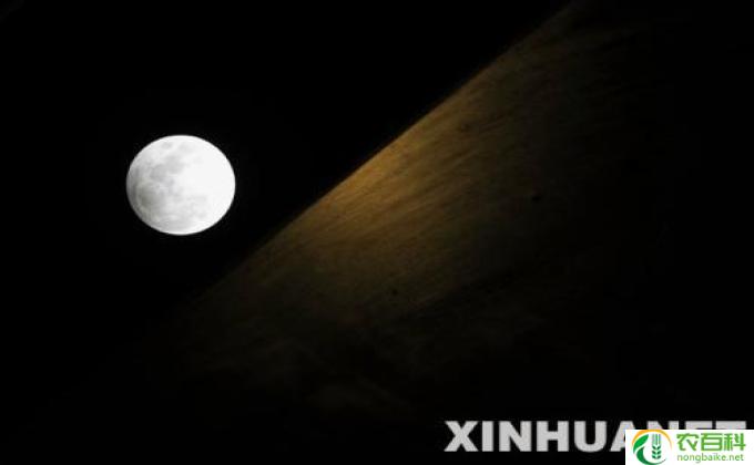 元宵月光窗前洒打一字是什么字