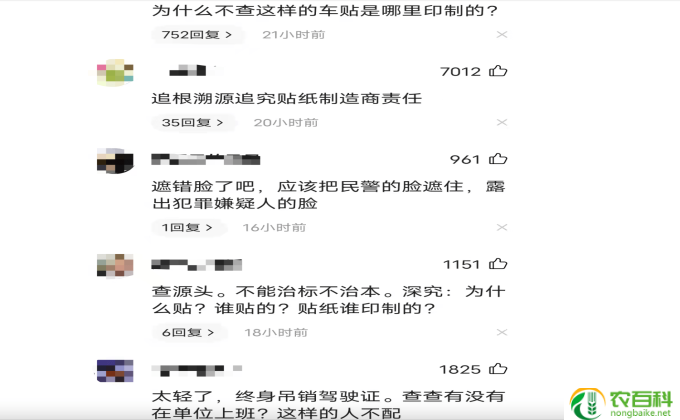 偏偏秉烛夜游歌词意思