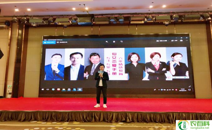 紫荆怎么扦插(紫荆繁殖技巧）