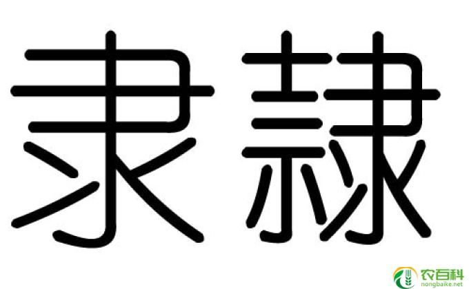 姓名笔画算命
