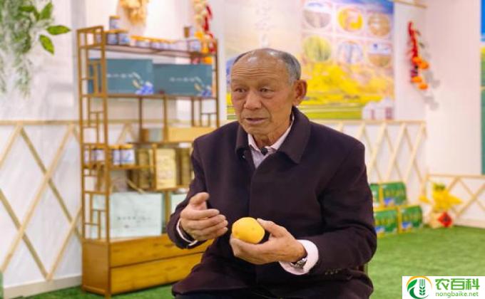 扎哈里杨技术特点,扎哈里杨的技术特点